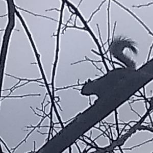 Meet your Posher, Sandy